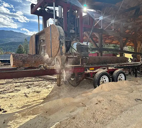 Saw mill cutting lumber